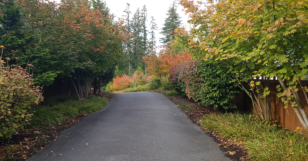 Issaquah Highlands Connections IHCA Fall Leaf Cleanup