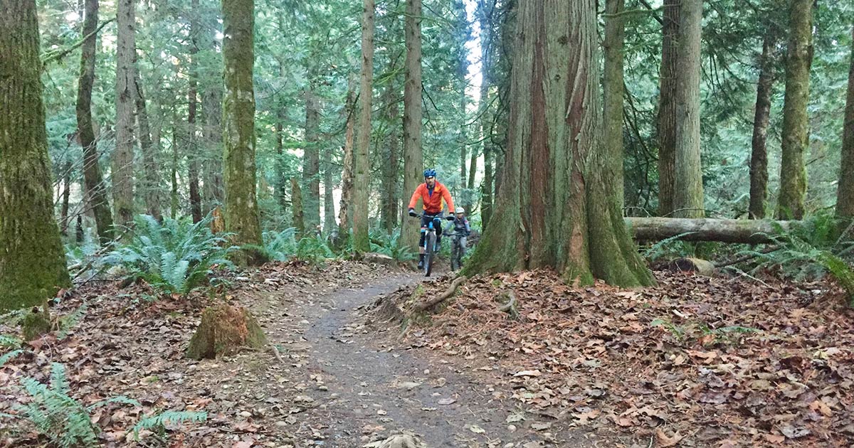 Mountain bikers on the Grand Ridge Trail