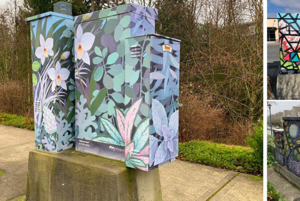 Issaquah Highlands art utility boxes