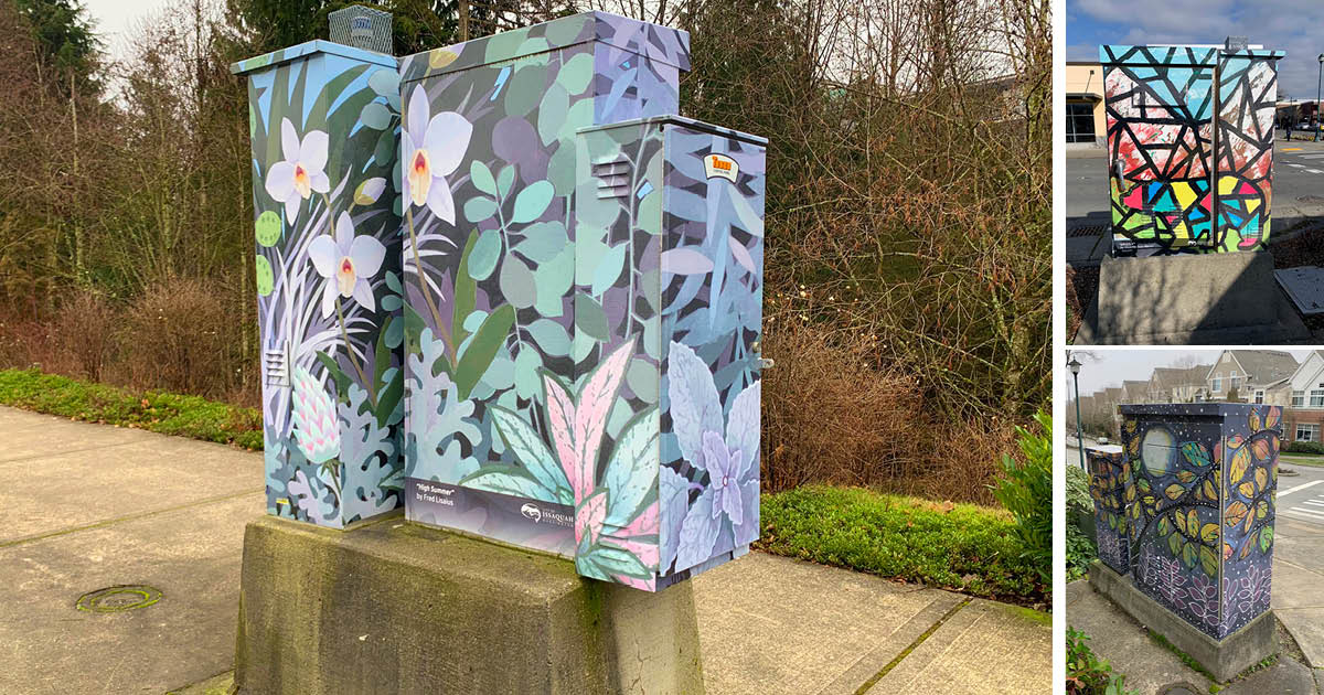 Issaquah Highlands art utility boxes